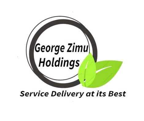 George Zimu